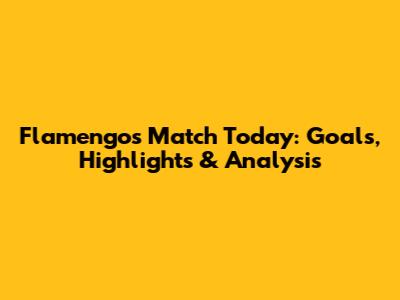 Flamengo's Match Today: Goals, Highlights & Analysis