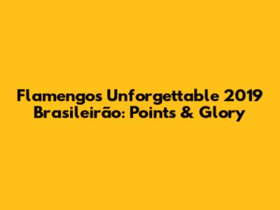 Flamengo's Unforgettable 2019 Brasileirão: Points & Glory