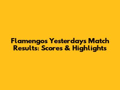 Flamengo's Yesterday's Match Results: Scores & Highlights