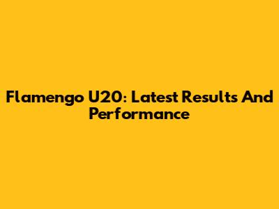 Flamengo U20: Latest Results And Performance