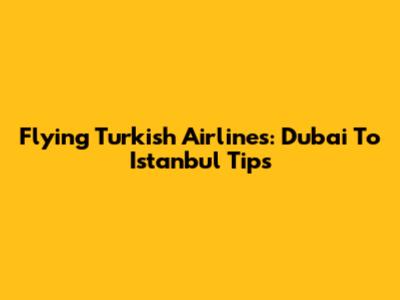 Flying Turkish Airlines: Dubai To Istanbul Tips