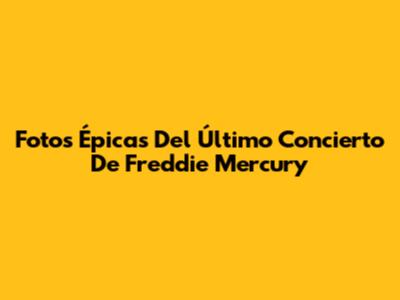 Fotos Épicas Del Último Concierto De Freddie Mercury