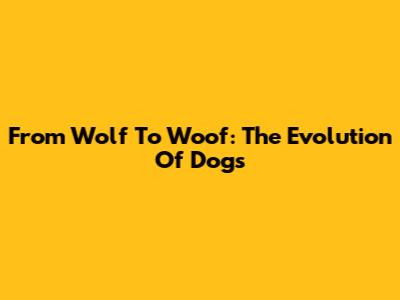 From Wolf To Woof: The Evolution Of Dogs
