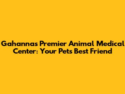 Gahanna's Premier Animal Medical Center: Your Pet's Best Friend