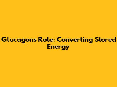 Glucagon's Role: Converting Stored Energy