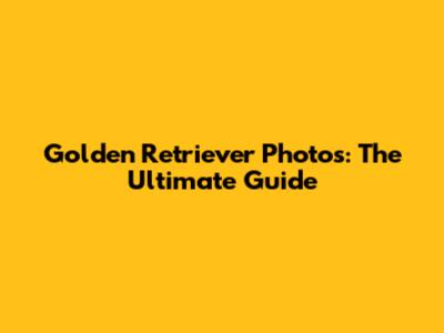 Golden Retriever Photos: The Ultimate Guide