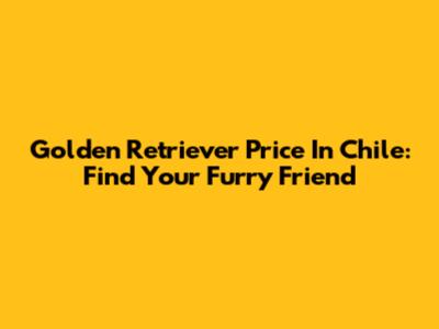 Golden Retriever Price In Chile: Find Your Furry Friend