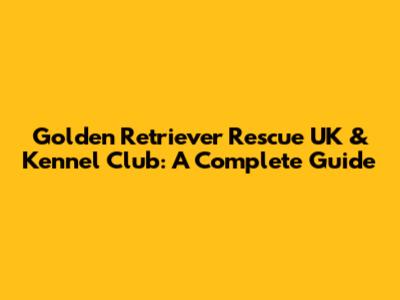 Golden Retriever Rescue UK & Kennel Club: A Complete Guide