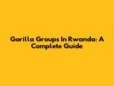 Gorilla Groups In Rwanda: A Complete Guide