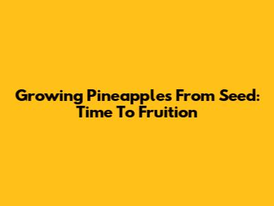 Growing Pineapples From Seed: Time To Fruition