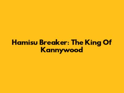 Hamisu Breaker: The King Of Kannywood
