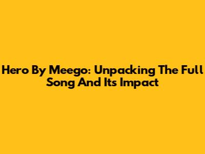 Hero By Meego: Unpacking The Full Song And Its Impact
