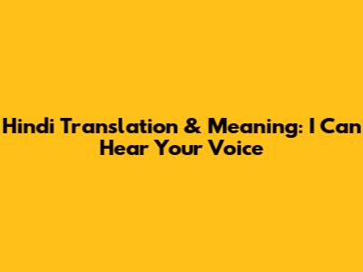 Hindi Translation & Meaning: I Can Hear Your Voice