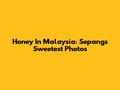 Honey In Malaysia: Sepang's Sweetest Photos