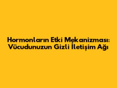 Hormonların Etki Mekanizması: Vücudunuzun Gizli İletişim Ağı
