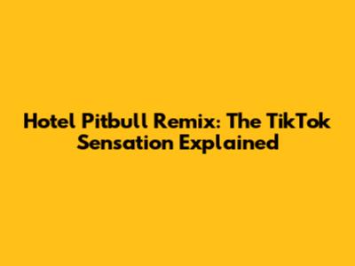 Hotel Pitbull Remix: The TikTok Sensation Explained