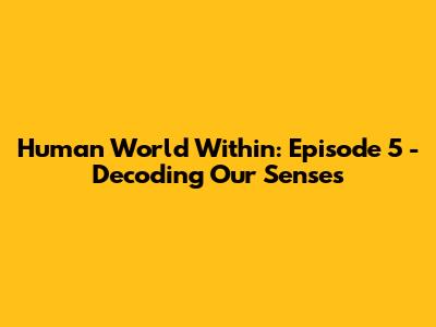 Human World Within: Episode 5 - Decoding Our Senses