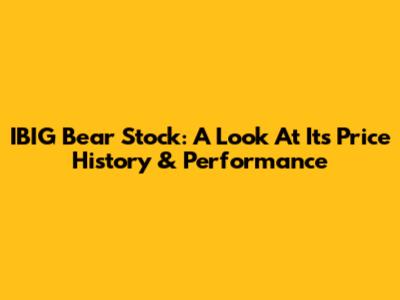 IBIG Bear Stock: A Look At Its Price History & Performance