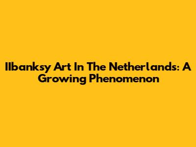 IIbanksy Art In The Netherlands: A Growing Phenomenon