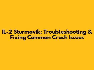 IL-2 Sturmovik: Troubleshooting & Fixing Common Crash Issues