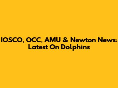 IOSCO, OCC, AMU & Newton News: Latest On Dolphins