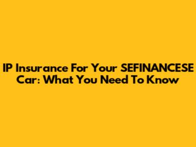 IP Insurance For Your SEFINANCESE Car: What You Need To Know