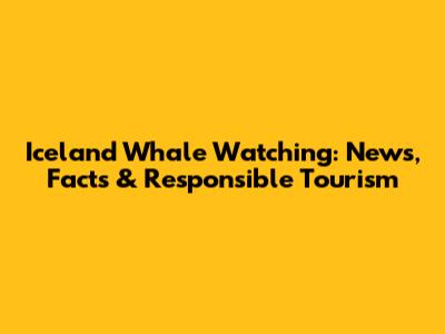 Iceland Whale Watching: News, Facts & Responsible Tourism
