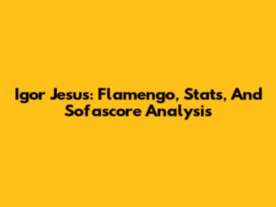 Igor Jesus: Flamengo, Stats, And Sofascore Analysis