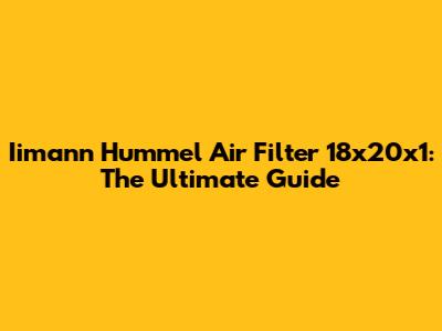 Iimann Hummel Air Filter 18x20x1: The Ultimate Guide