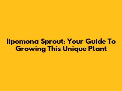 Iipomona Sprout: Your Guide To Growing This Unique Plant