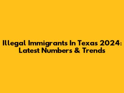 Illegal Immigrants In Texas 2024: Latest Numbers & Trends