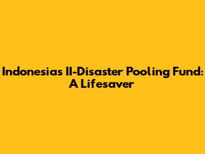Indonesia's II-Disaster Pooling Fund: A Lifesaver
