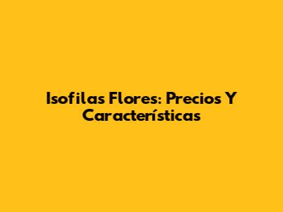 Isofilas Flores: Precios Y Características