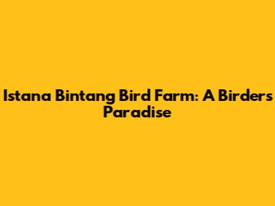 Istana Bintang Bird Farm: A Birder's Paradise