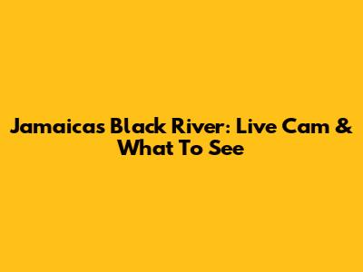 Jamaica's Black River: Live Cam & What To See