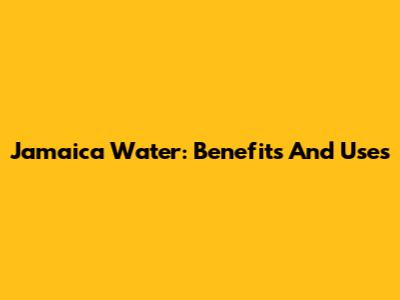 Jamaica Water: Benefits And Uses