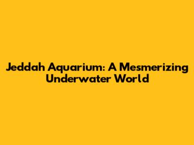 Jeddah Aquarium: A Mesmerizing Underwater World