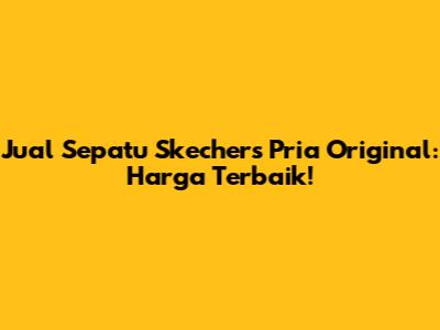 Jual Sepatu Skechers Pria Original: Harga Terbaik!