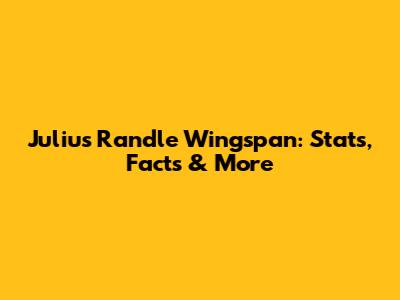 Julius Randle Wingspan: Stats, Facts & More