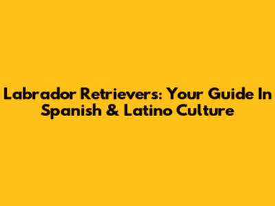 Labrador Retrievers: Your Guide In Spanish & Latino Culture