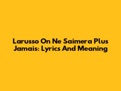 Larusso On Ne S'aimera Plus Jamais: Lyrics And Meaning