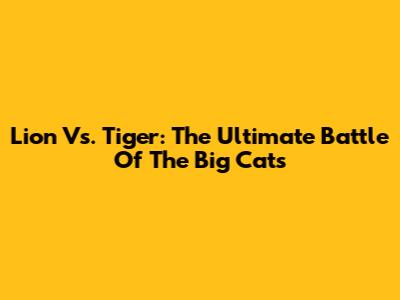 Lion Vs. Tiger: The Ultimate Battle Of The Big Cats