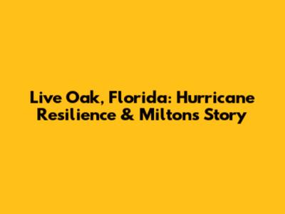 Live Oak, Florida: Hurricane Resilience & Milton's Story