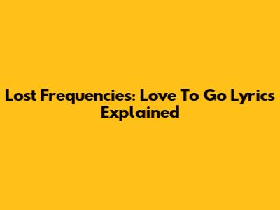 Lost Frequencies: Love To Go Lyrics Explained