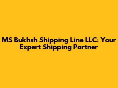 MS Bukhsh Shipping Line LLC: Your Expert Shipping Partner