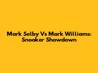Mark Selby Vs Mark Williams: Snooker Showdown