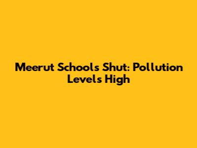 Meerut Schools Shut: Pollution Levels High