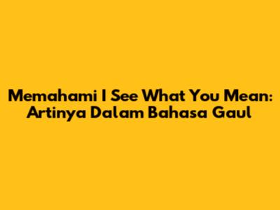 Memahami 'I See What You Mean': Artinya Dalam Bahasa Gaul