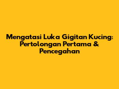 Mengatasi Luka Gigitan Kucing: Pertolongan Pertama & Pencegahan