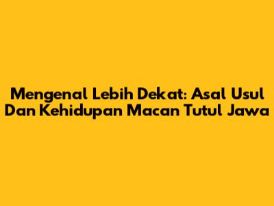 Mengenal Lebih Dekat: Asal Usul Dan Kehidupan Macan Tutul Jawa
